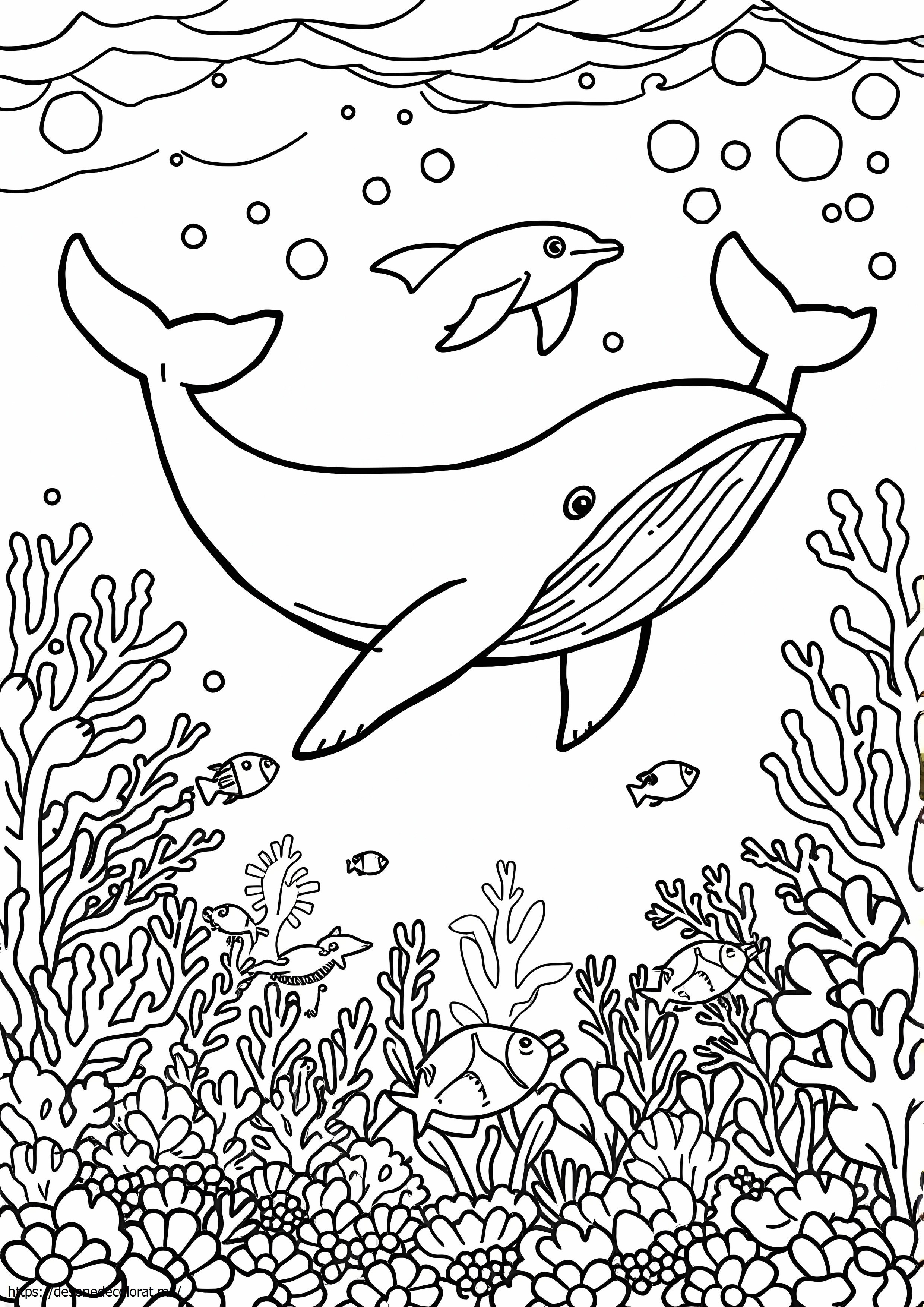 Viata oceanica