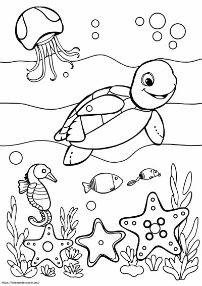 Animale marine