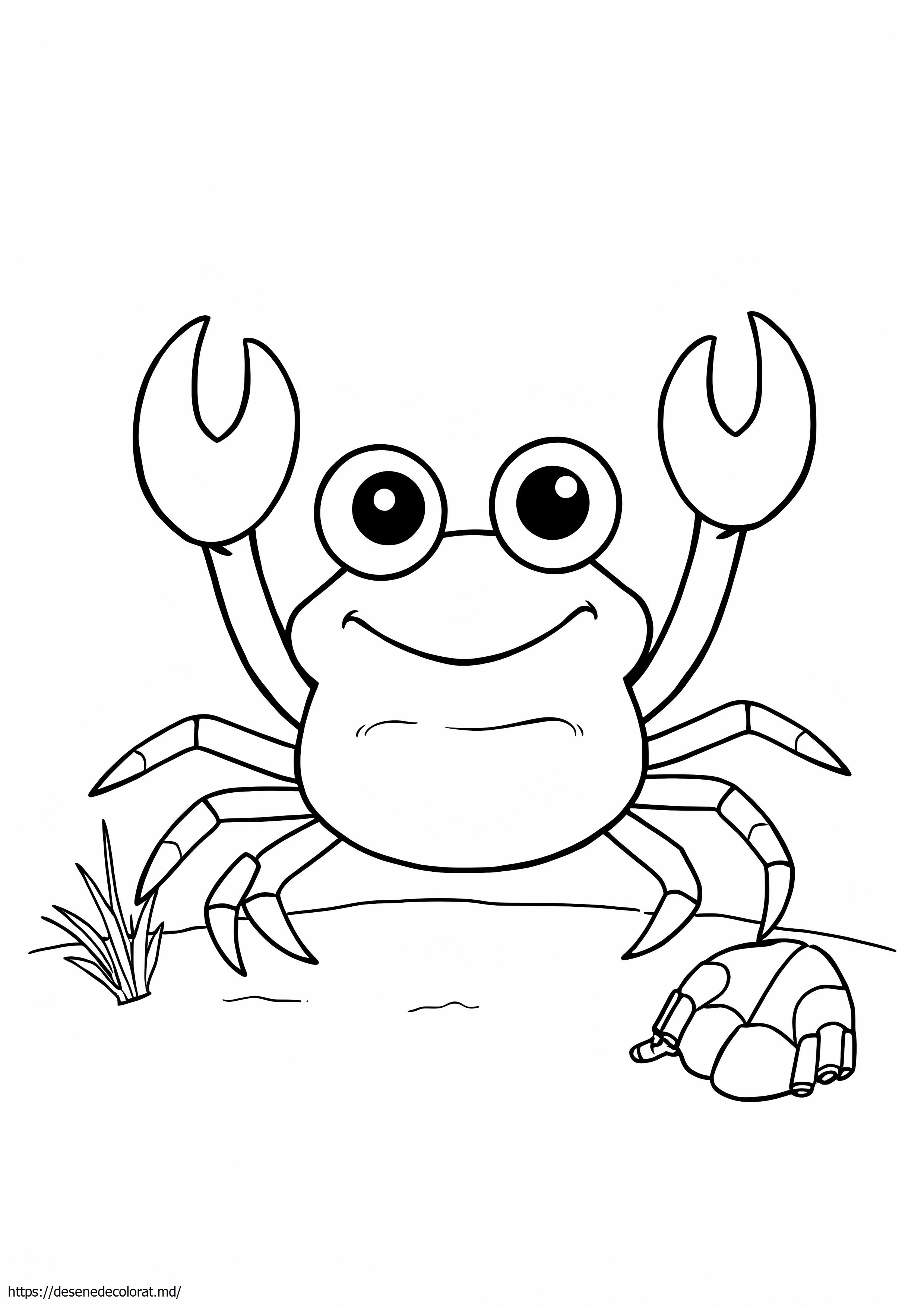 Crab simplu
