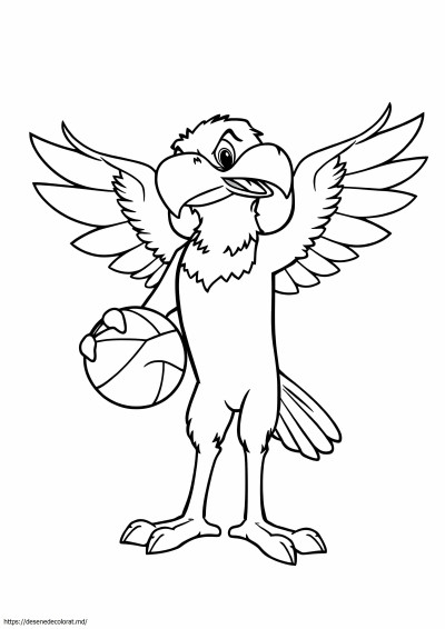 Jayhawk