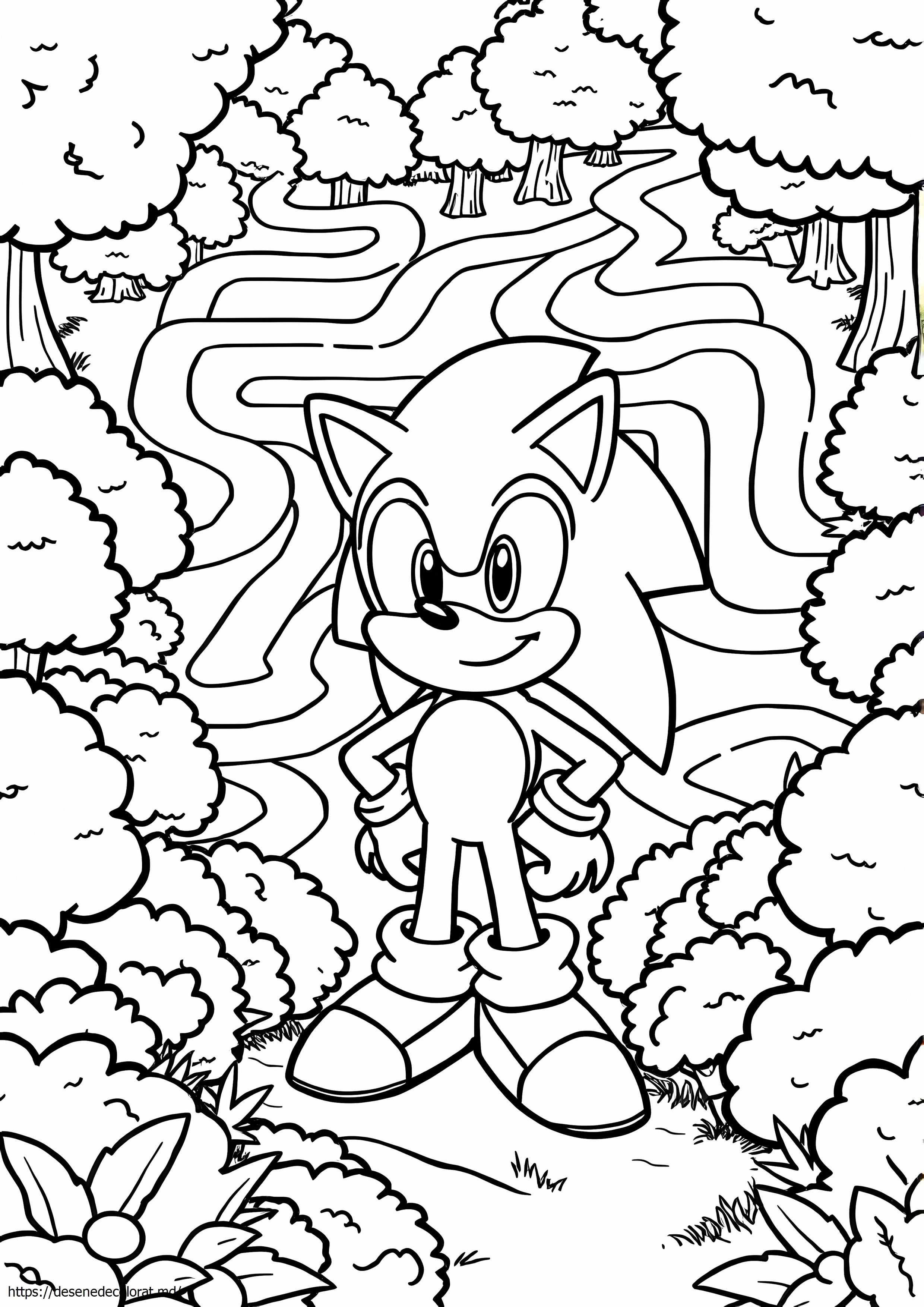 Boscage maze sonic