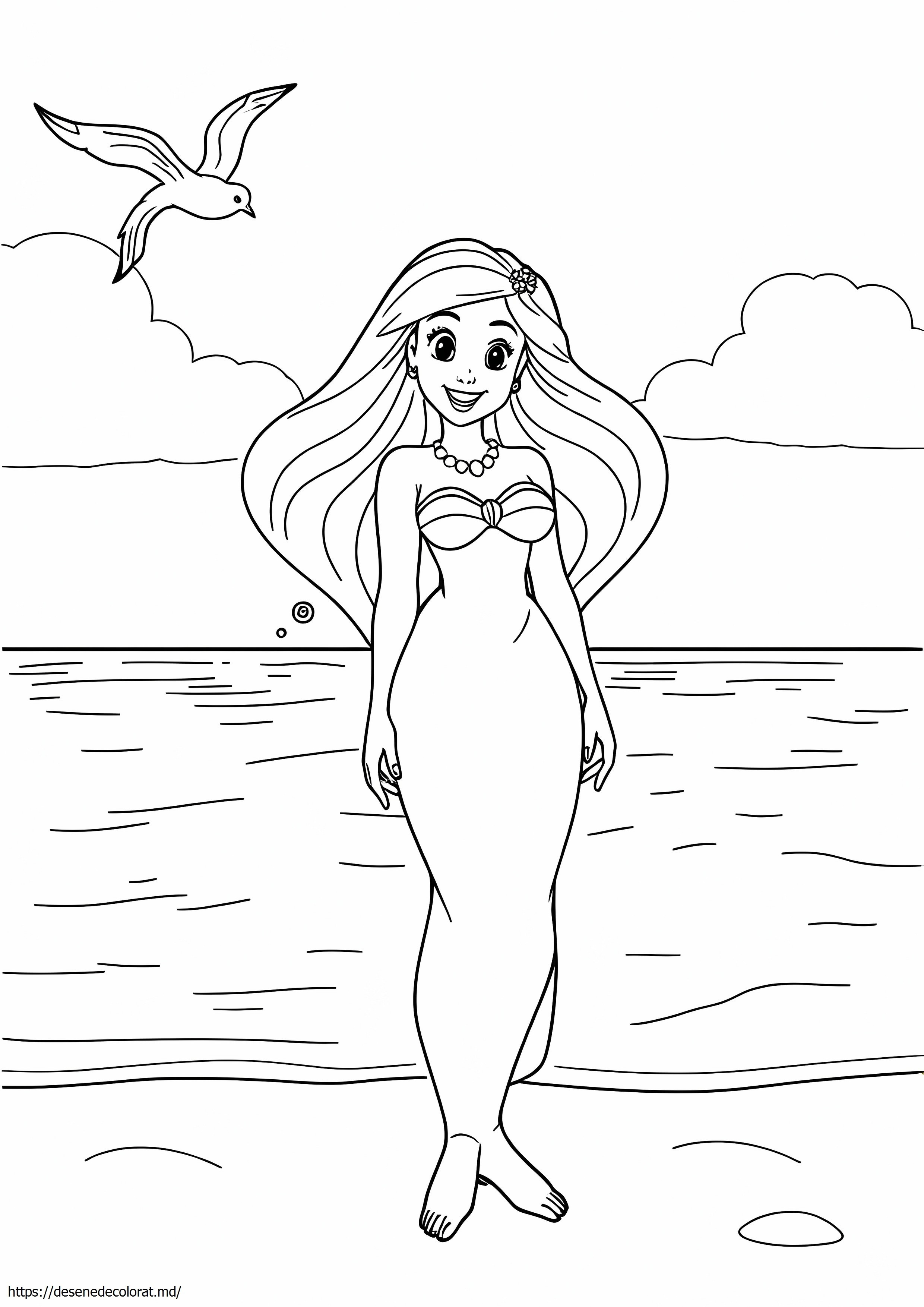 Ariel ca om