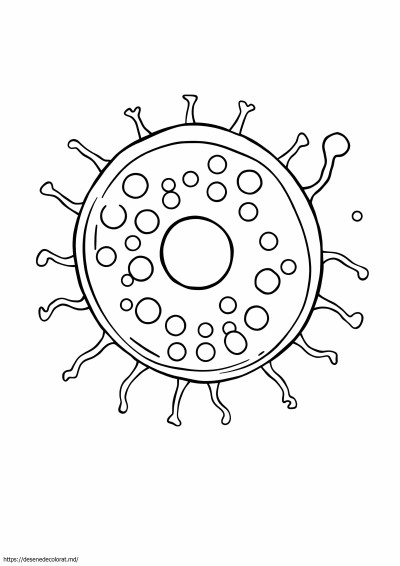 Bacterii