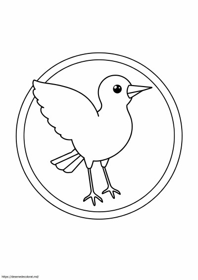 Design simplu