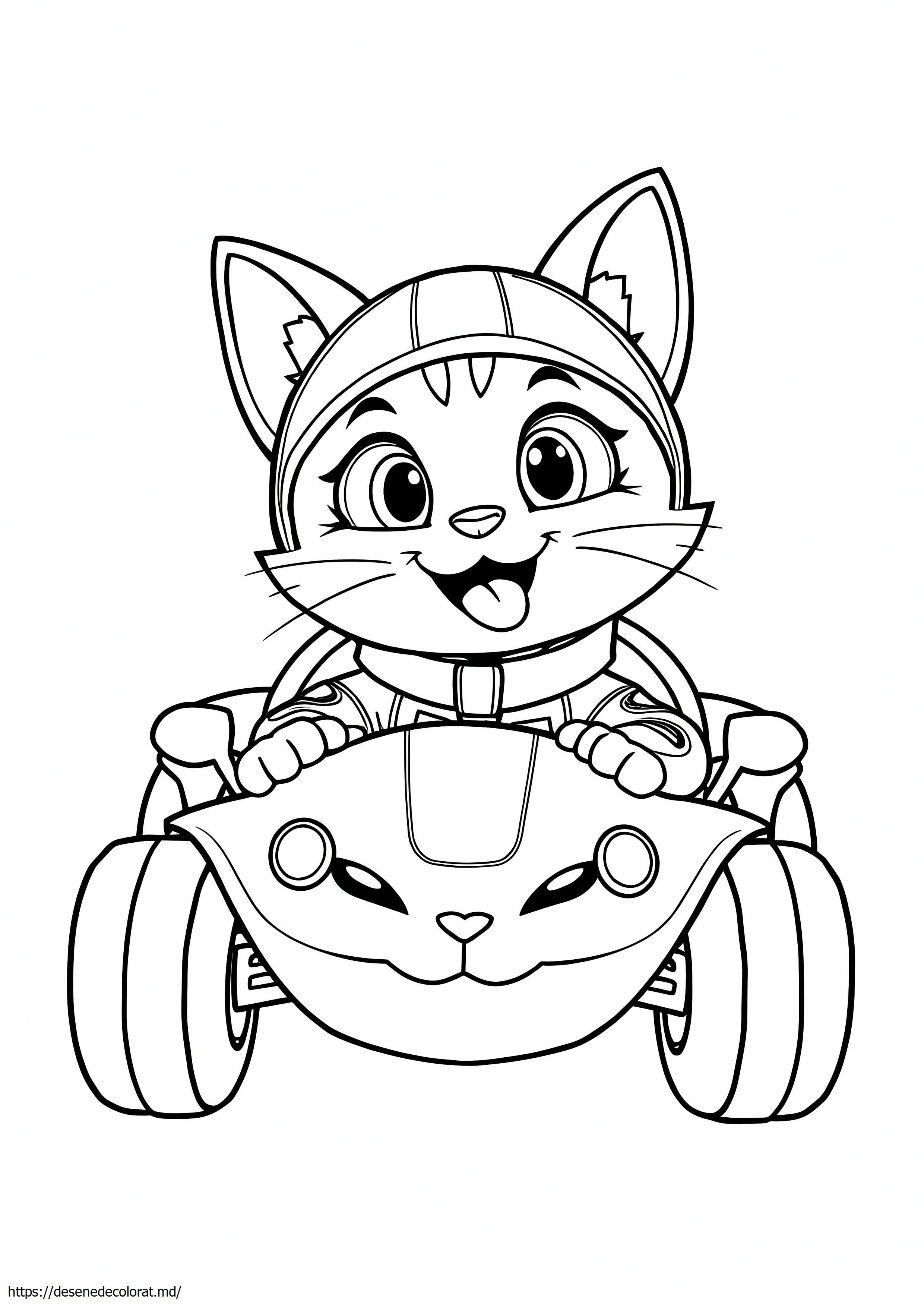 Mașină catboy