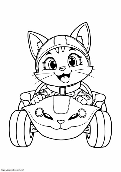 Mașină catboy
