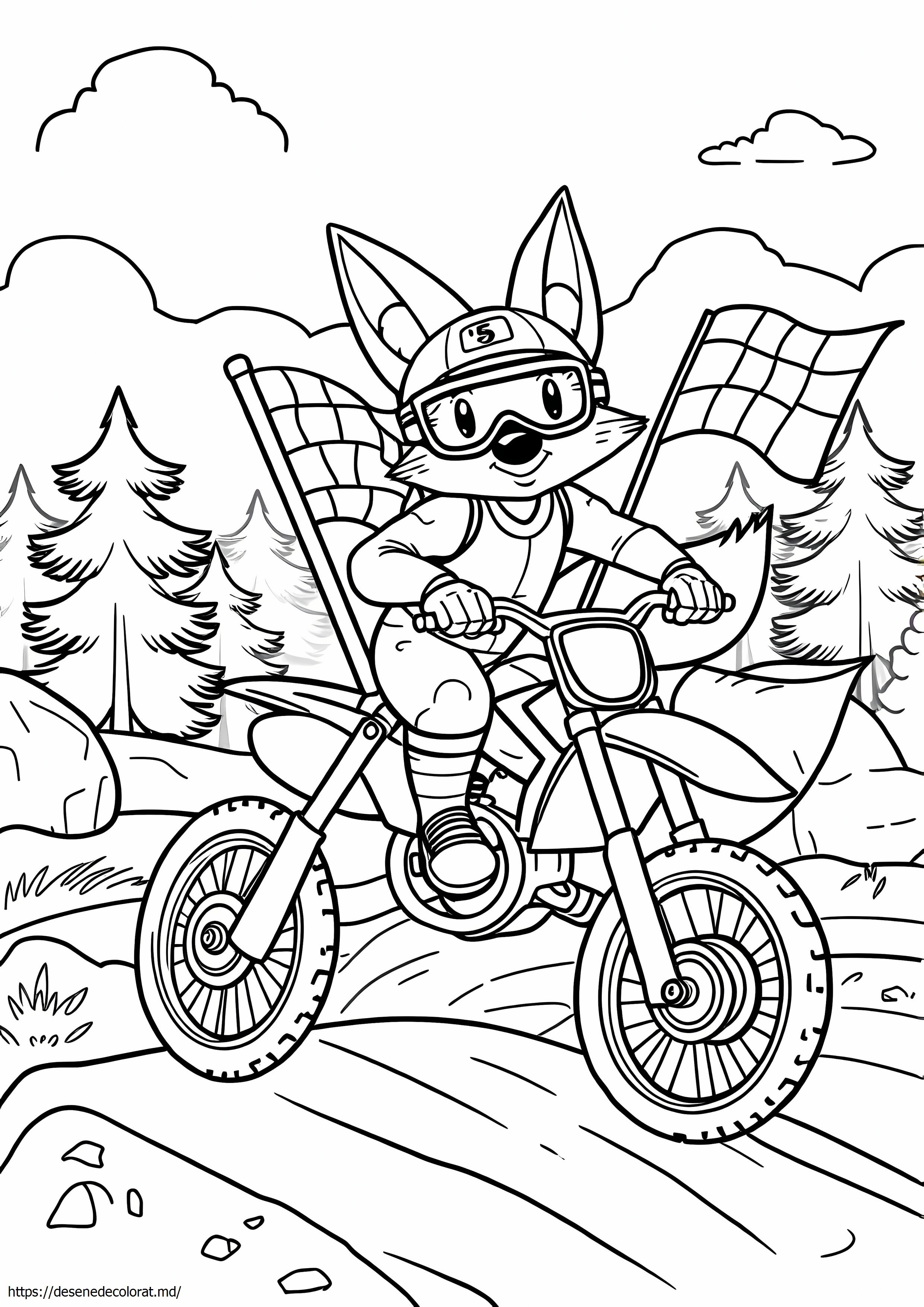 Fox motocross