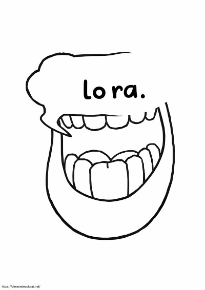 Boca