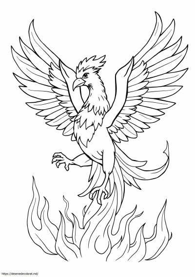 Frumos Phoenix