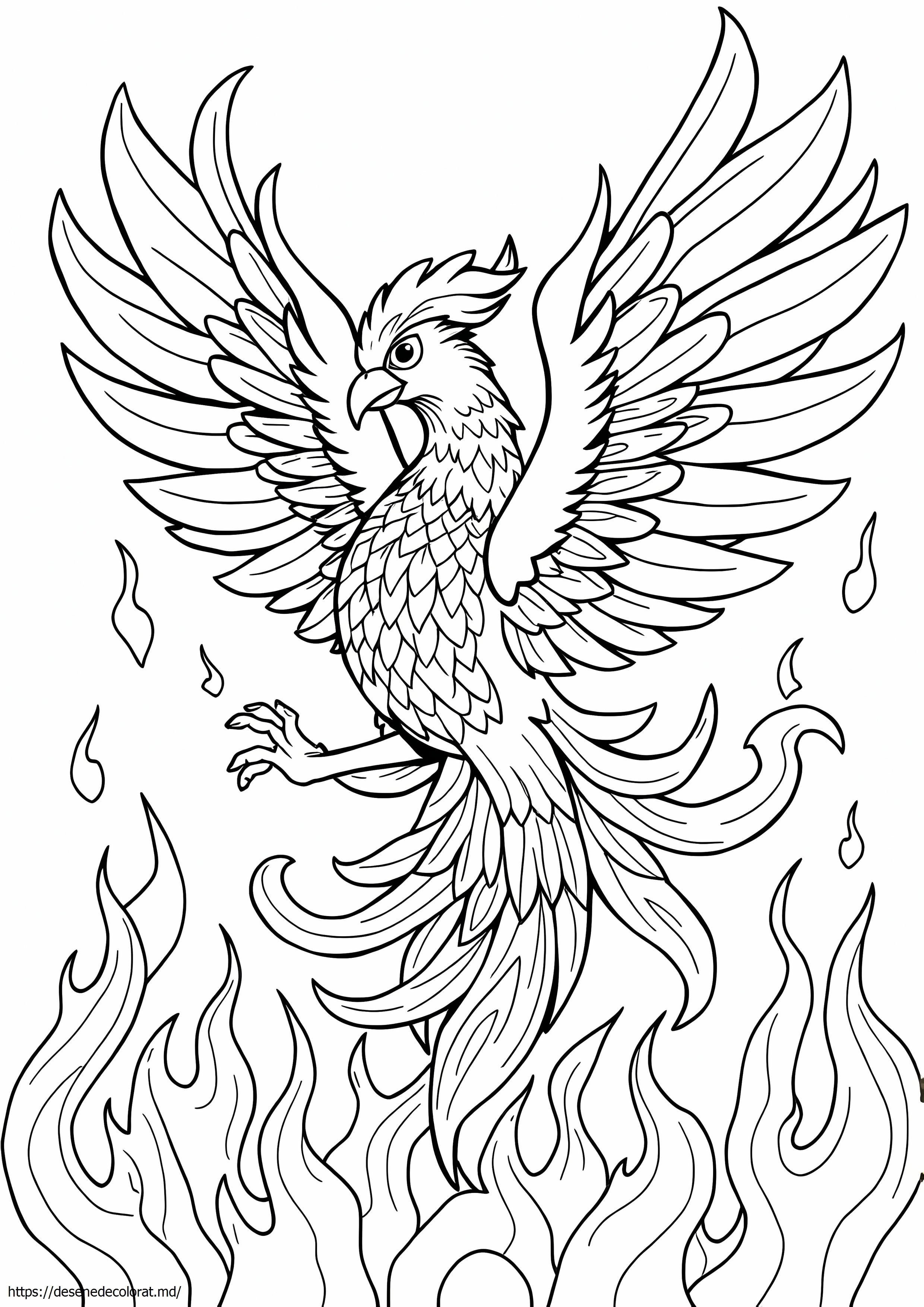 Fenix