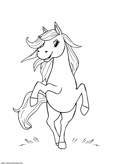 Kelpie