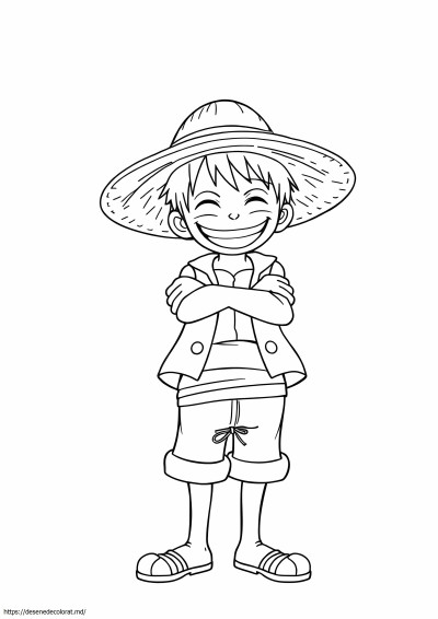 Cool luffy