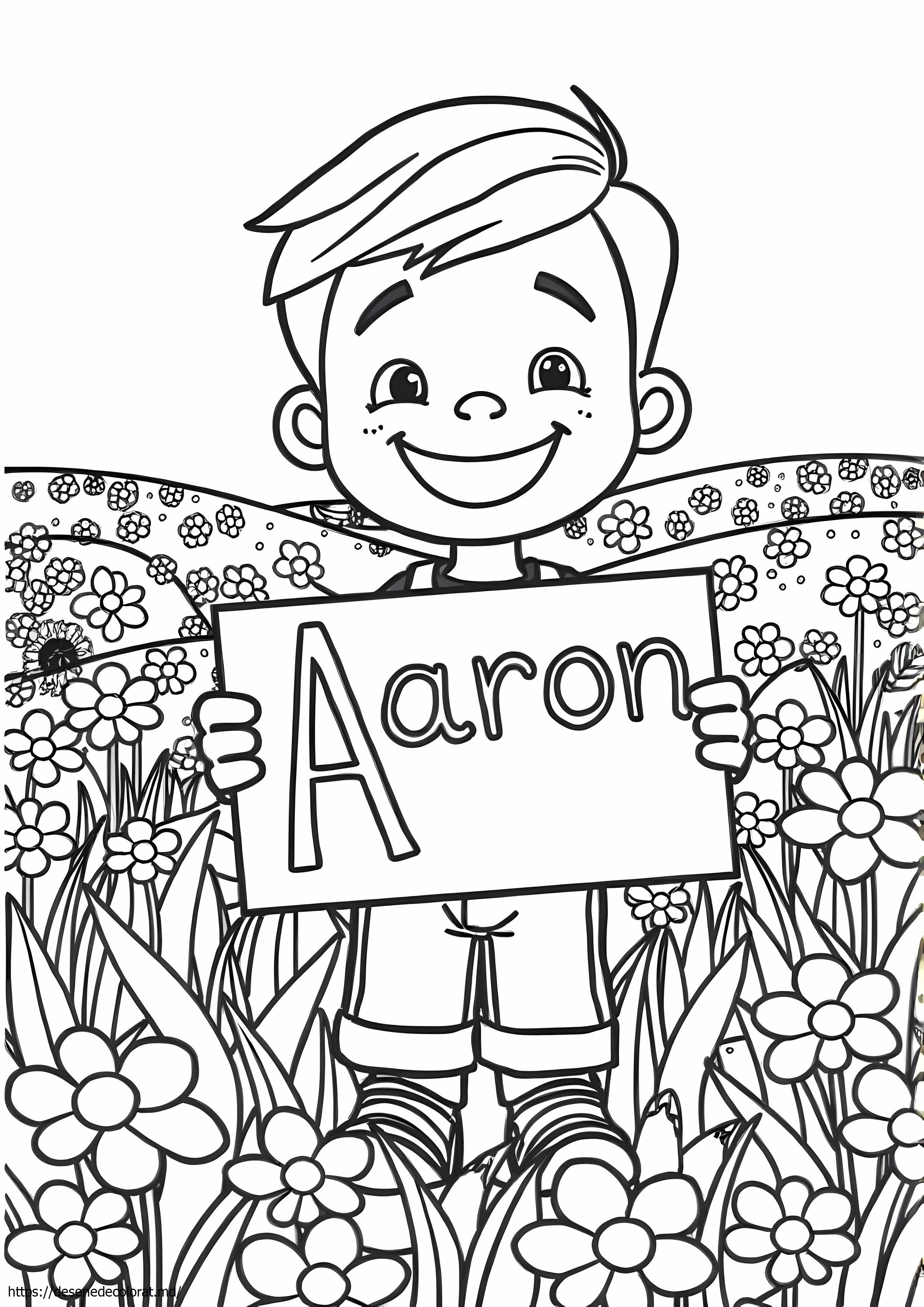Aaron