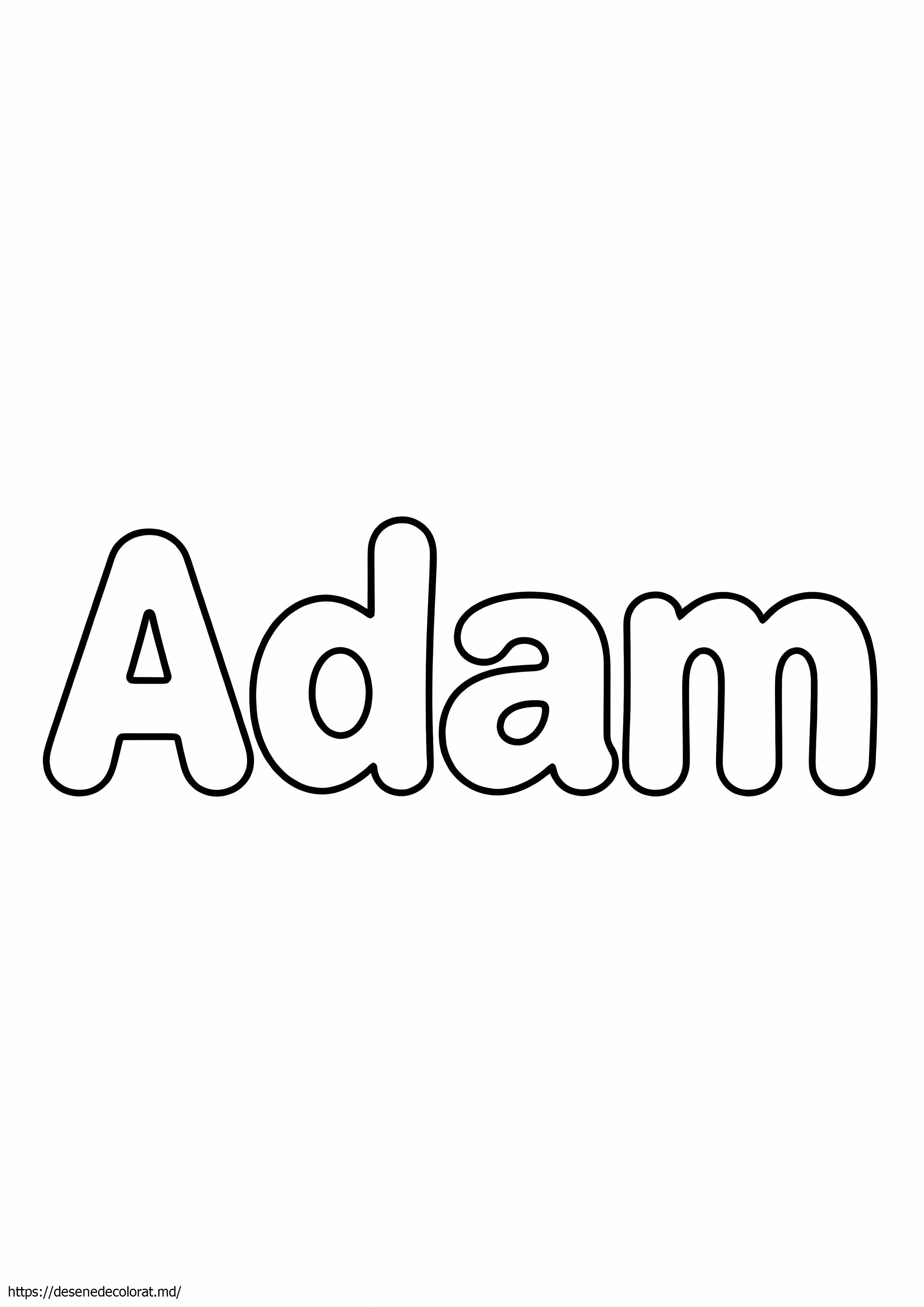 Adam