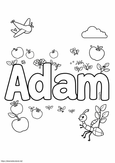 Numele Adam