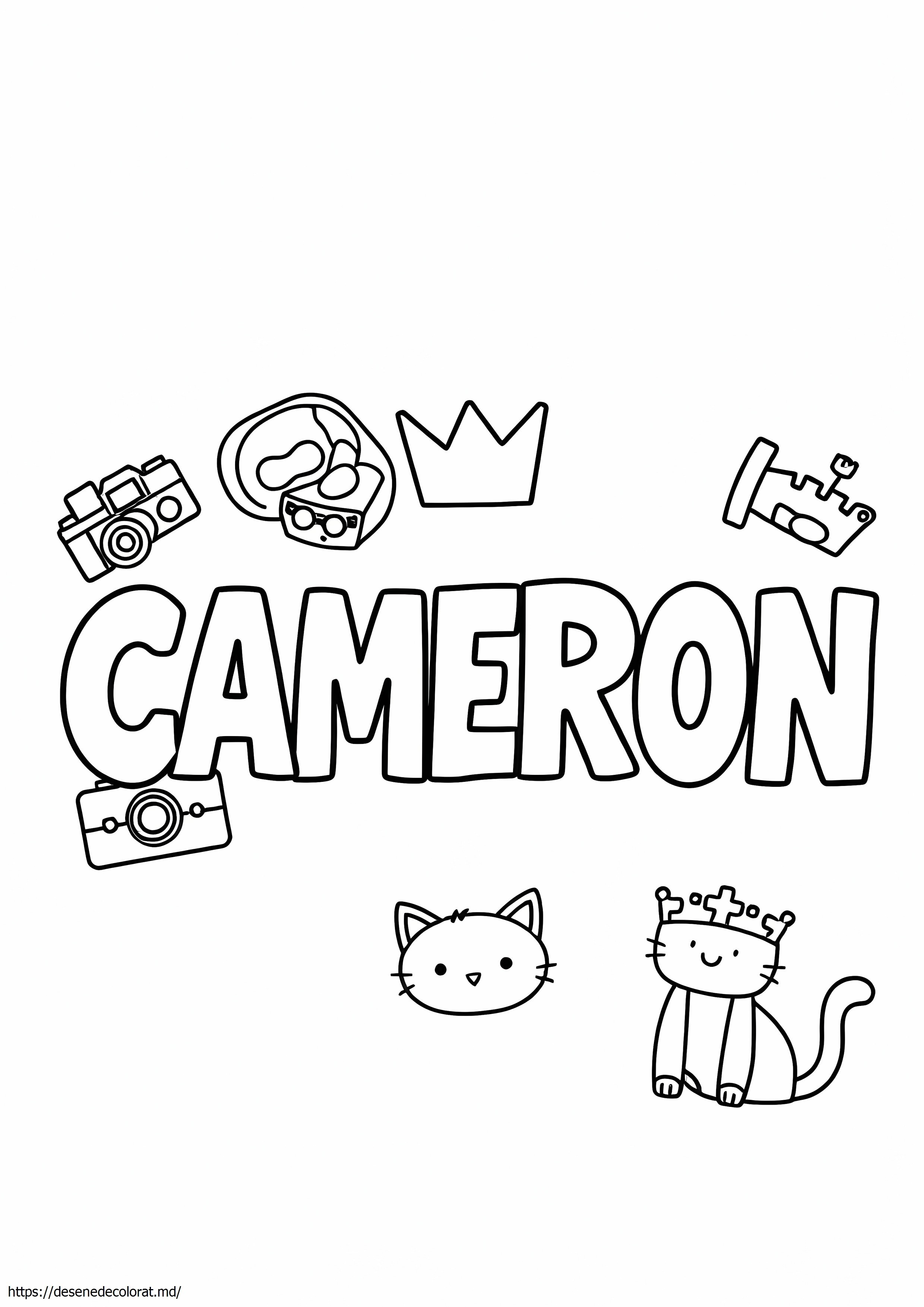Cameron