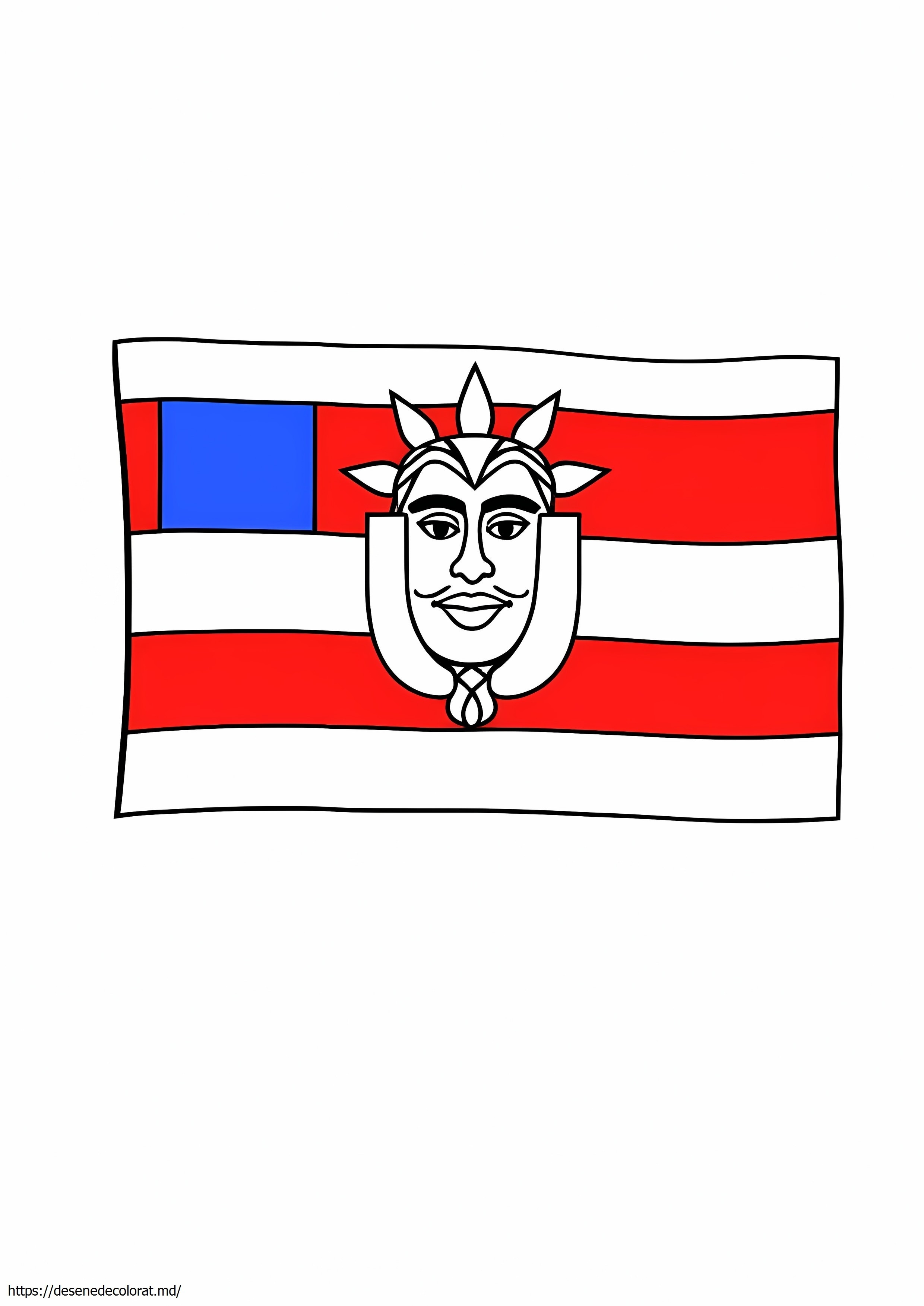 Steagul ecuadorului