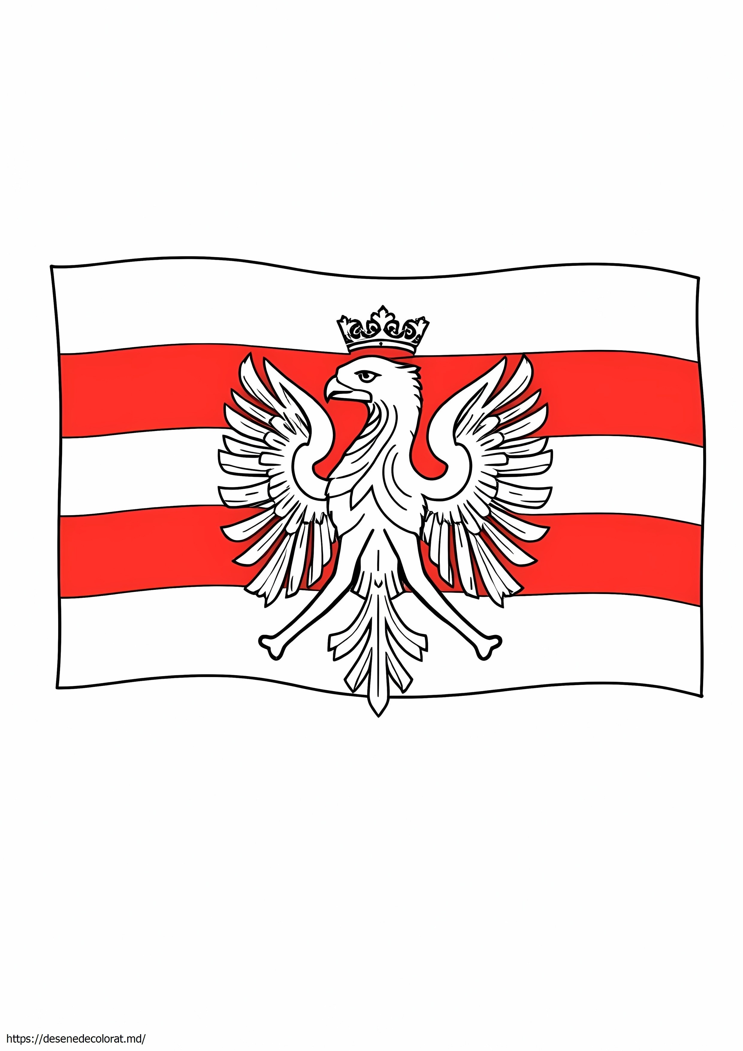 Steag polonez
