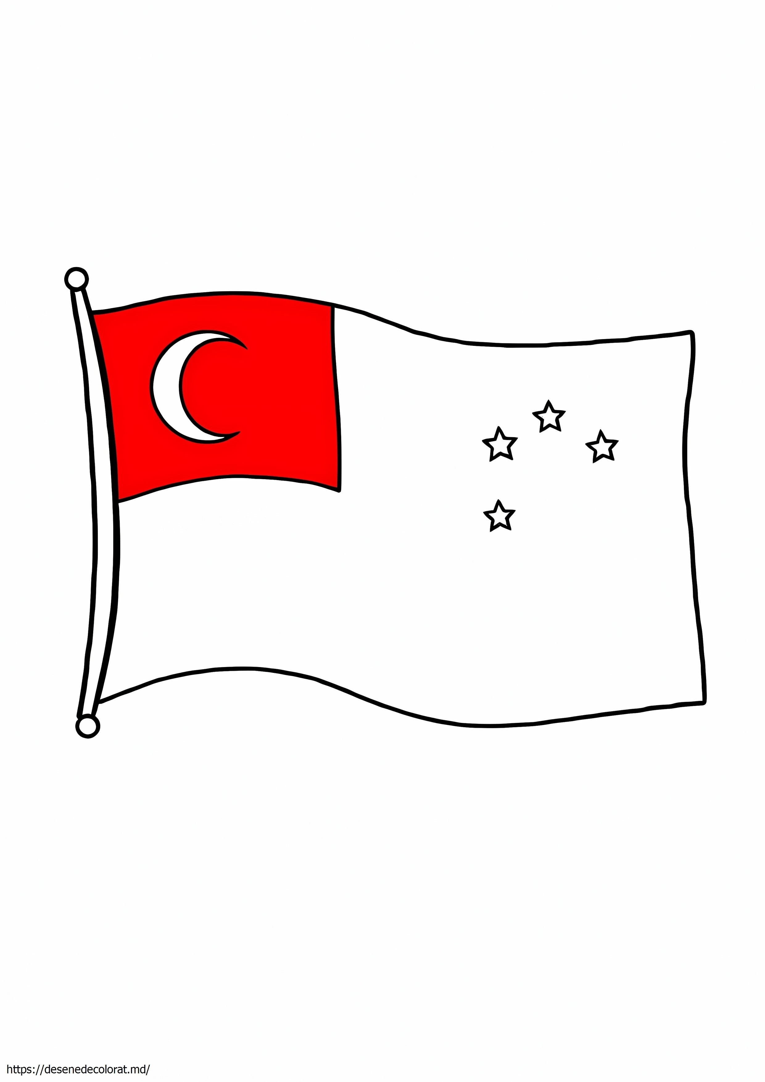 Steag singapore