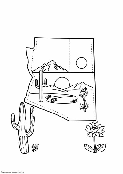5 cs de Arizona