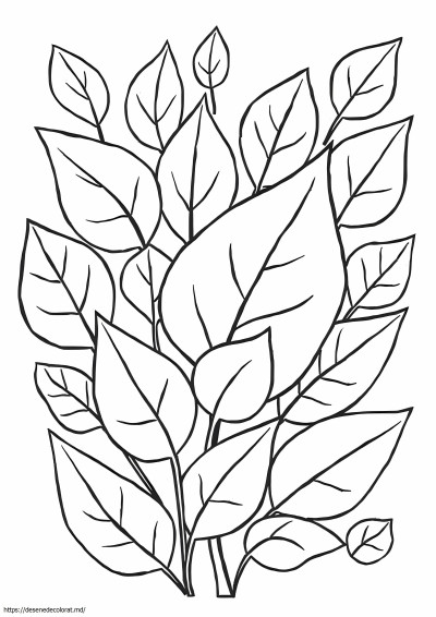 Clipart frunze abstracte