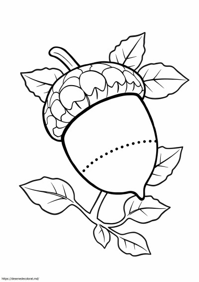 Ghindă
