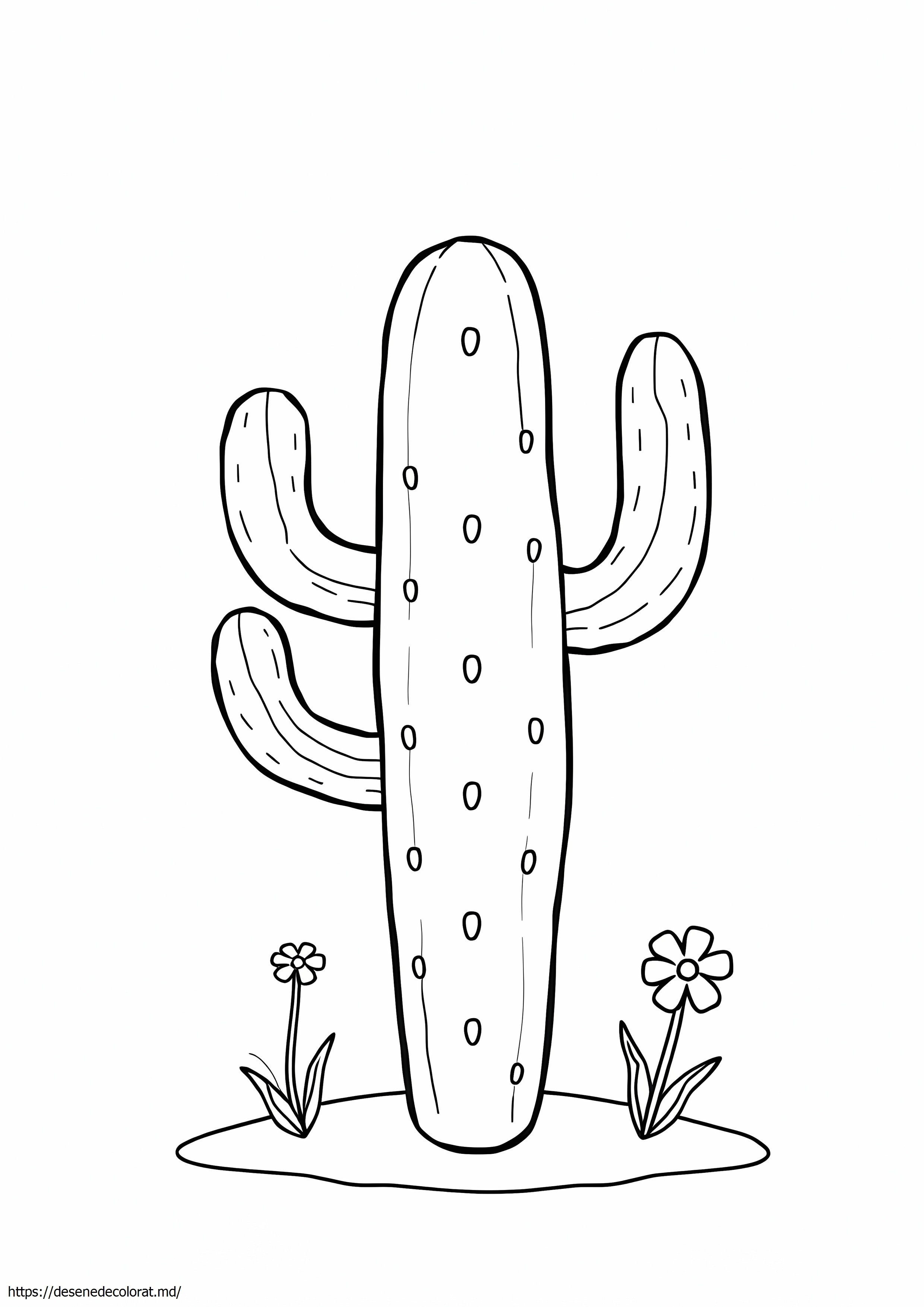 Cactus estetic