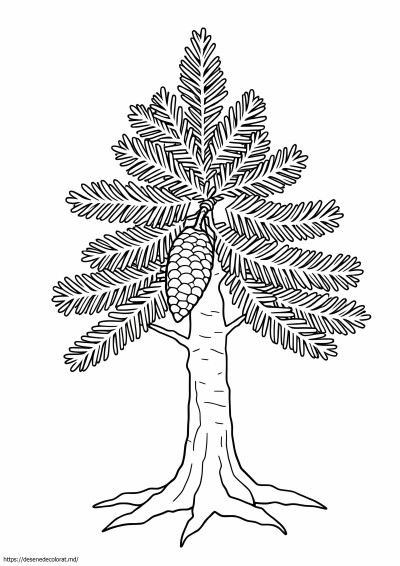 Arborele statului alaska