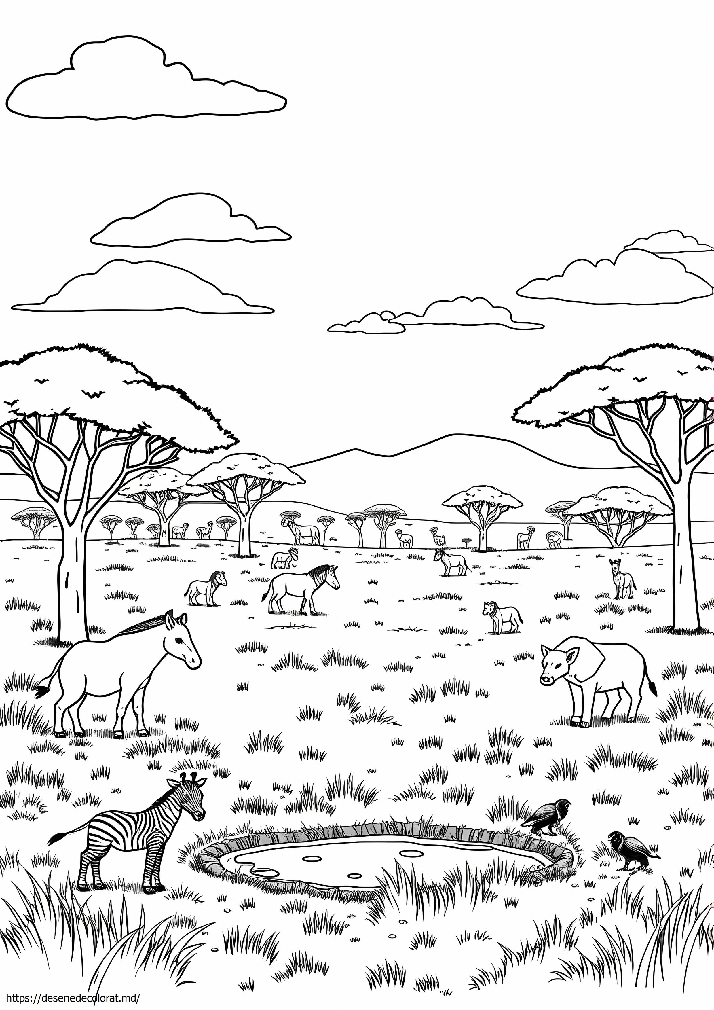 Savana africană