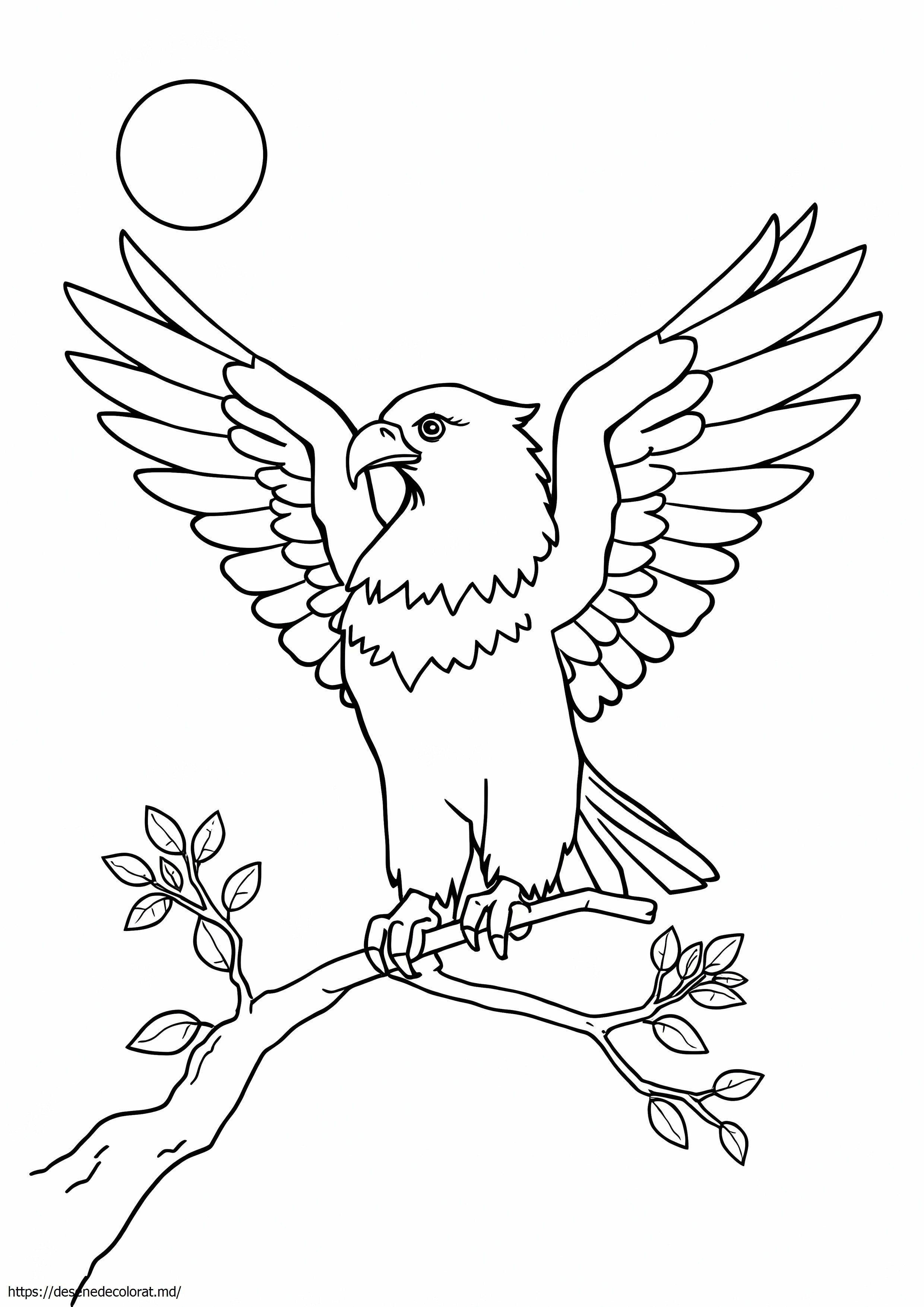 Vultur american