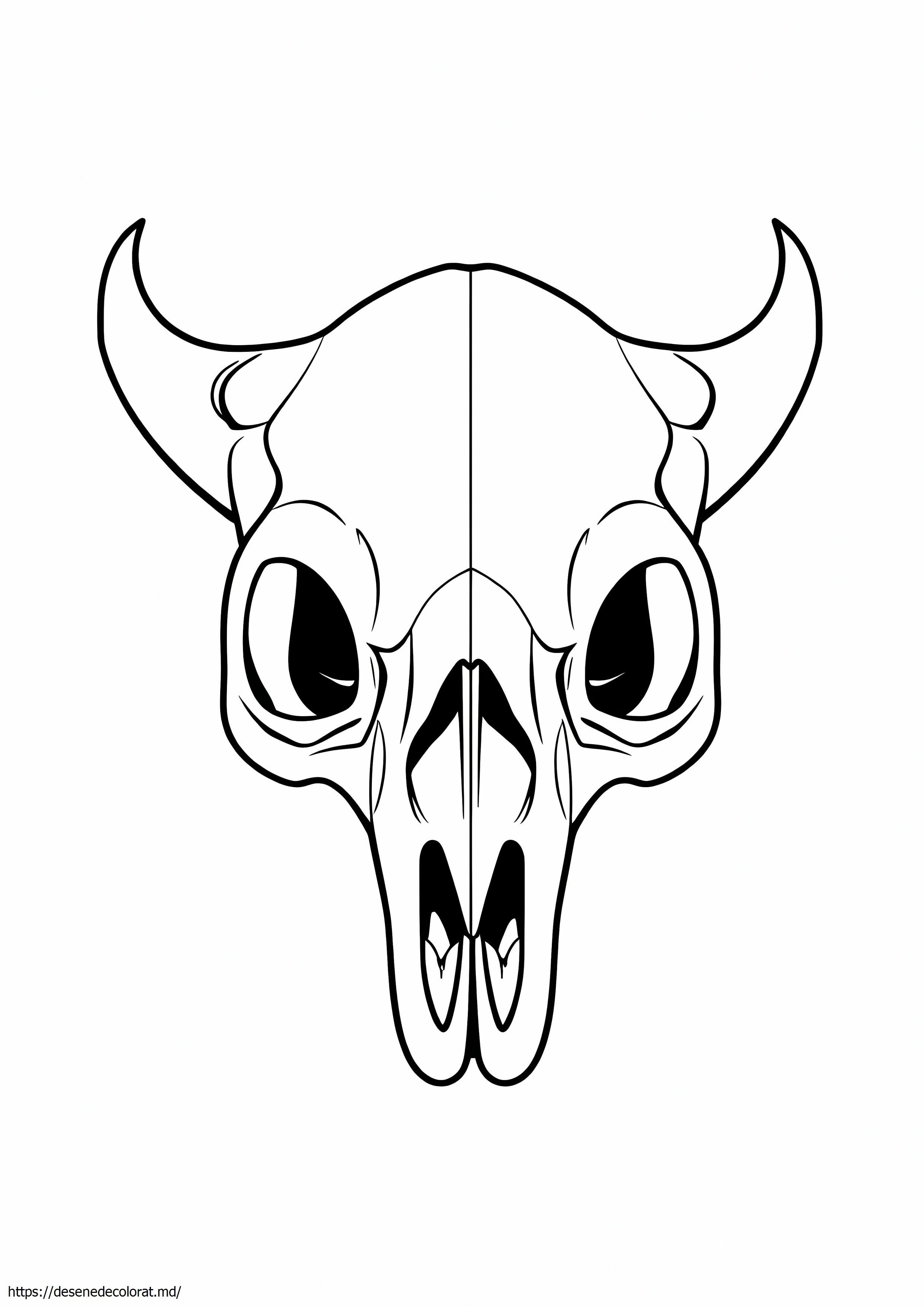 Craniu de animal