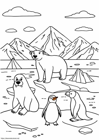 Animale arctice