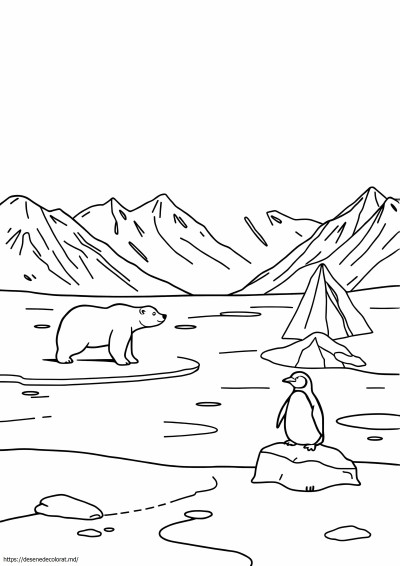 Scena arctică