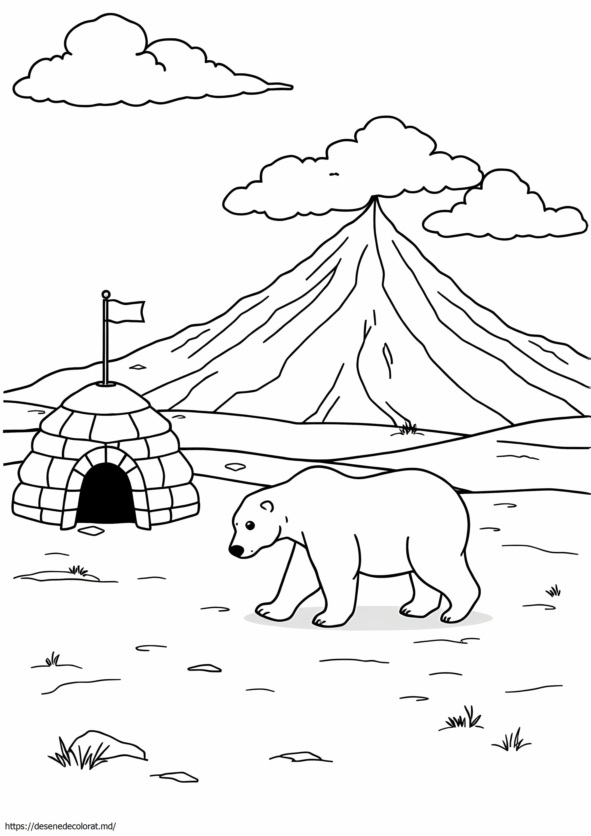 Tundra arctică