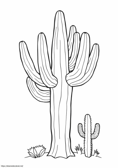 Arborele statului Arizona