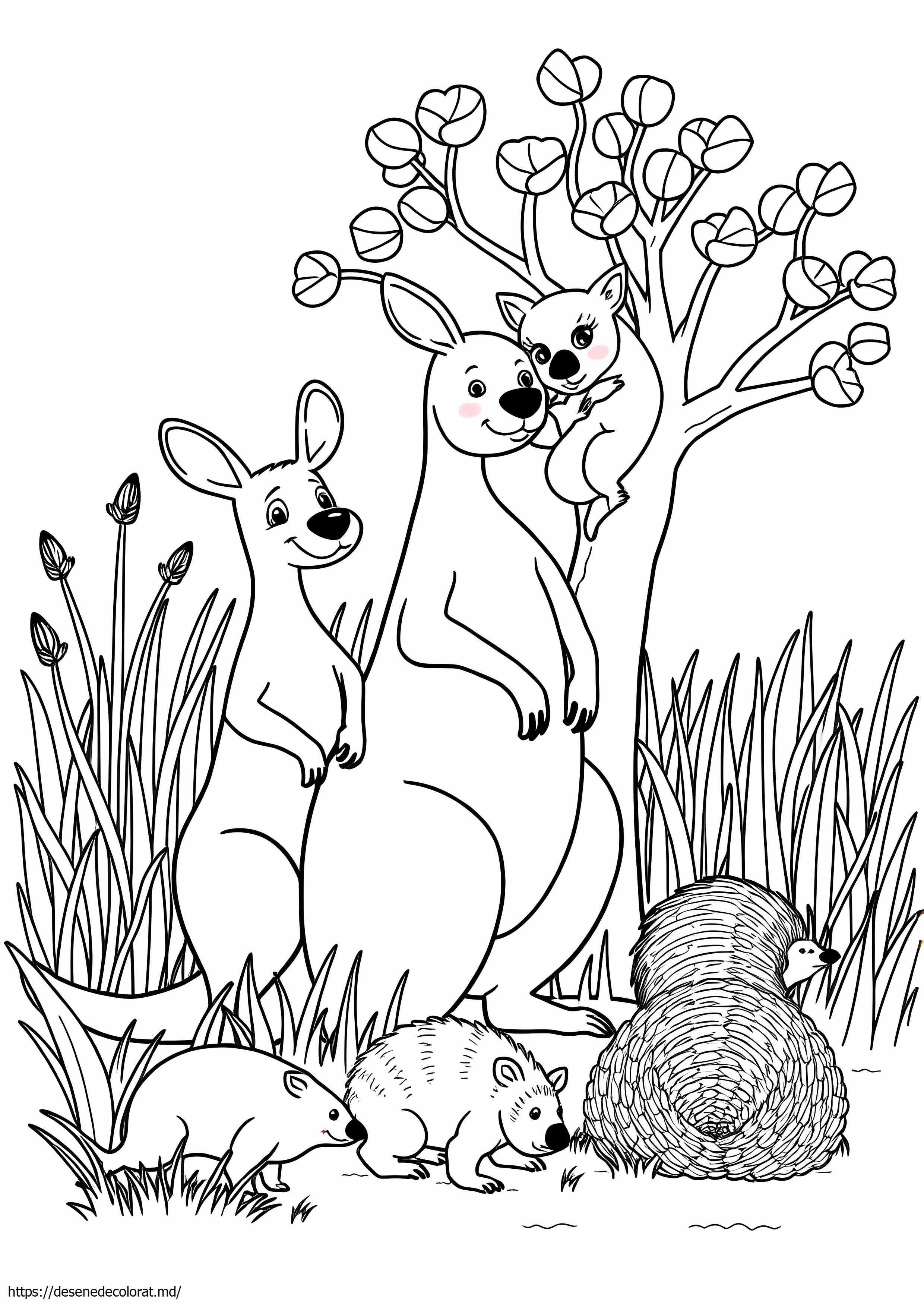Animale australiene