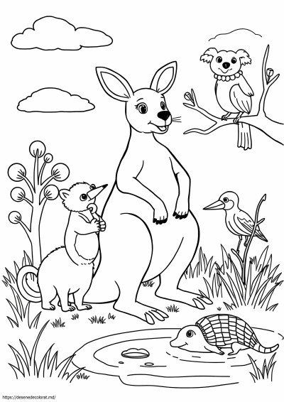 Animale din Australia