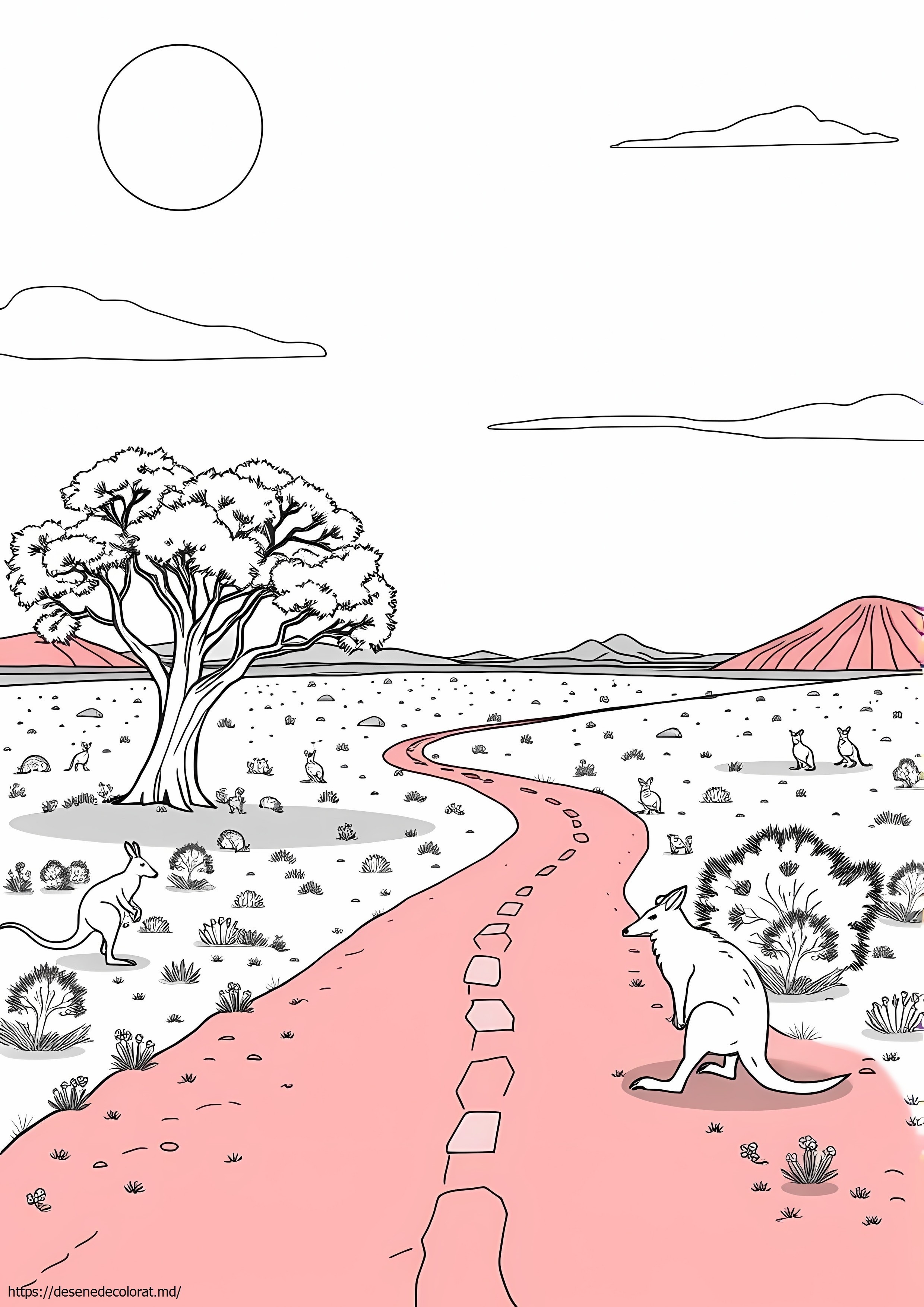 Outback australian