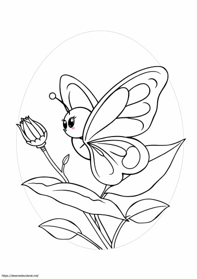 Pui de fluture