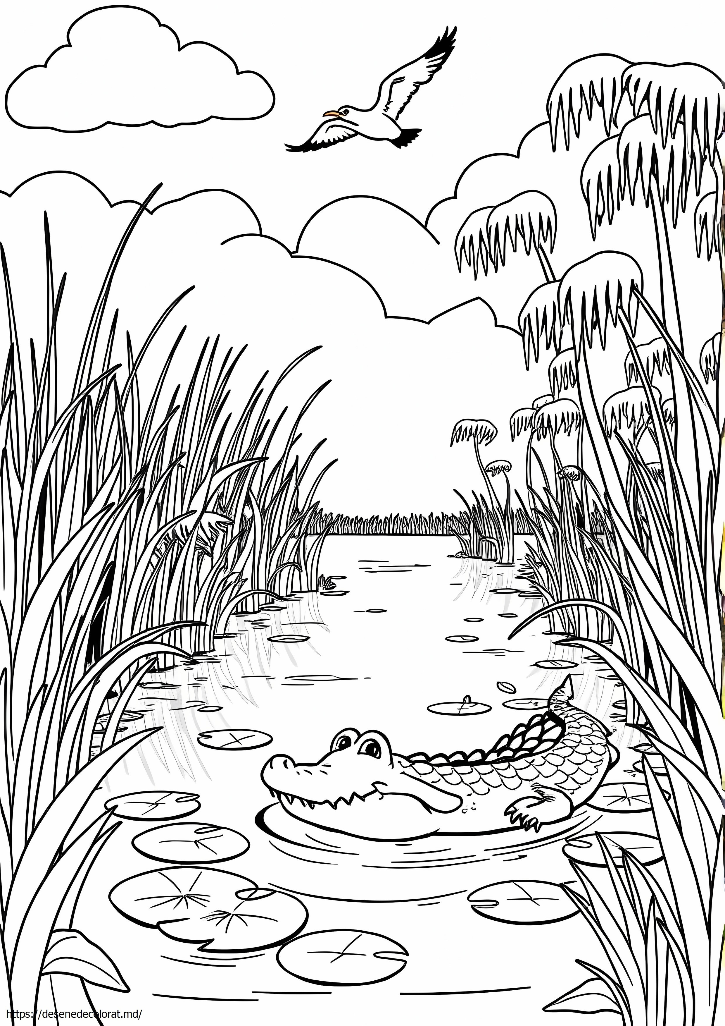 Bayou
