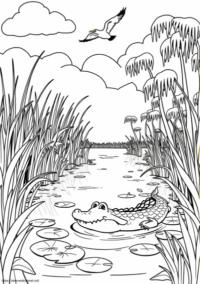 Bayou