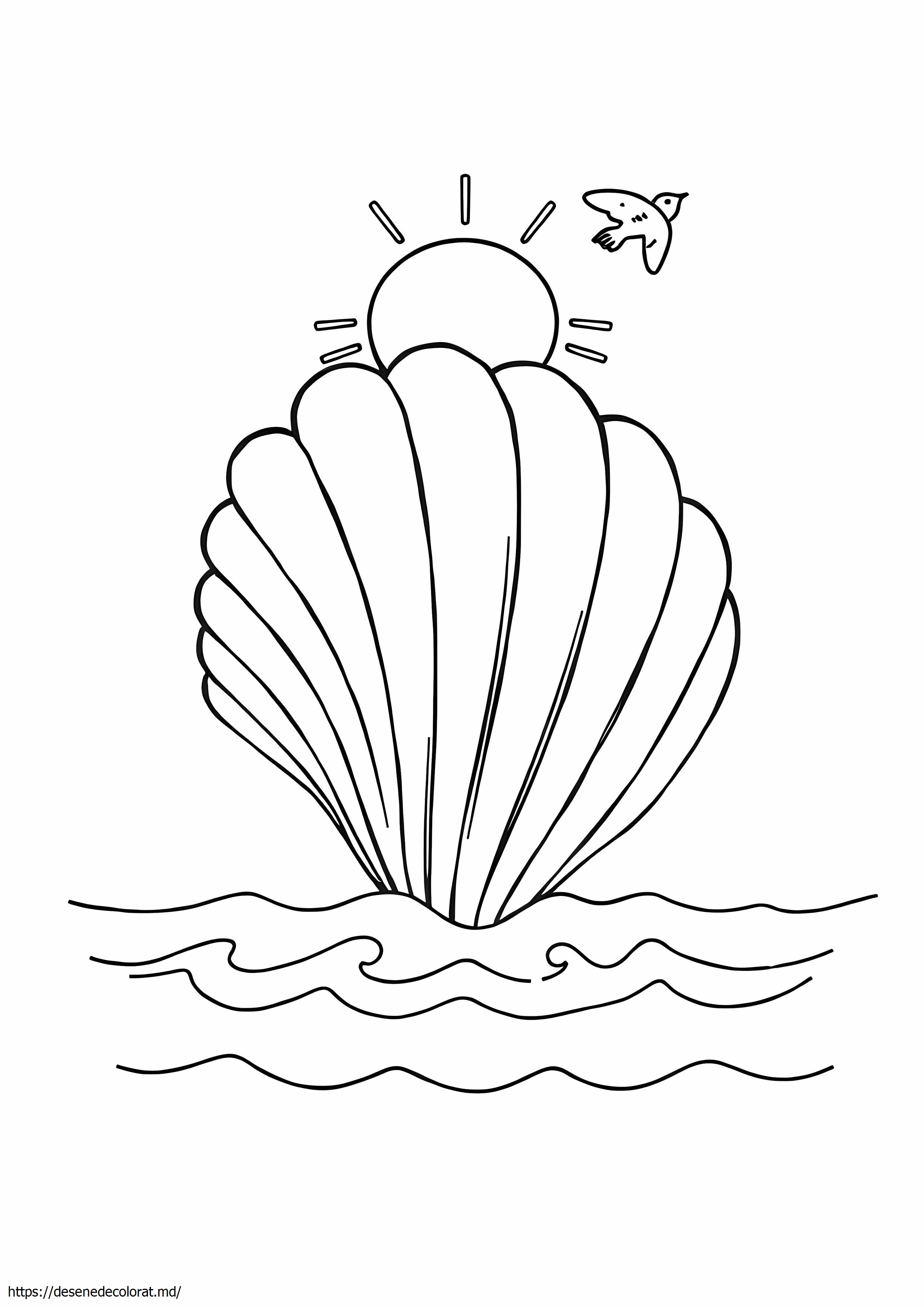 Scoici de plajă