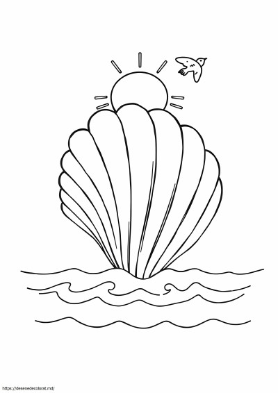 Scoici de plajă