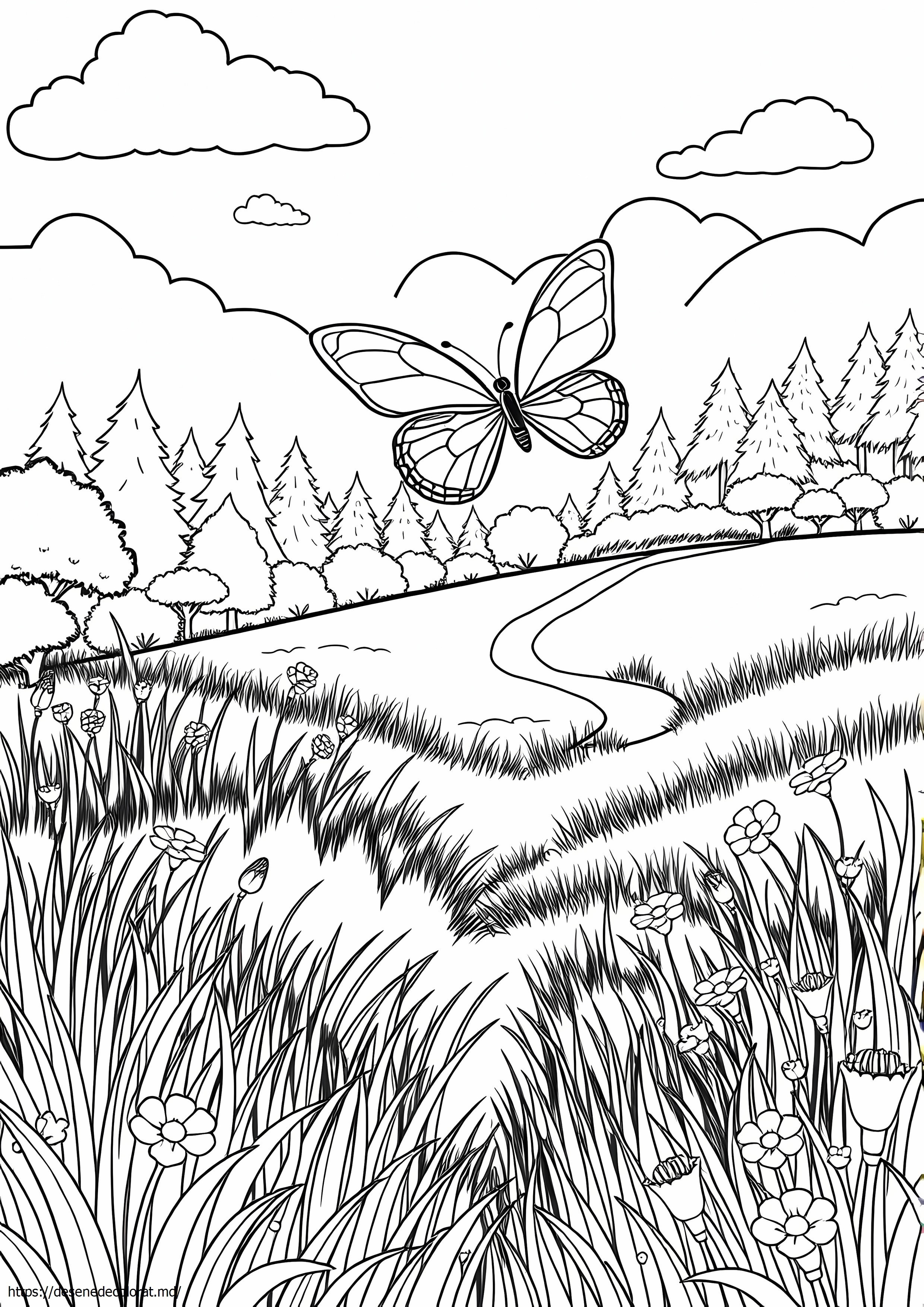 Natura frumoasa