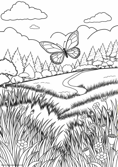 Natura frumoasa