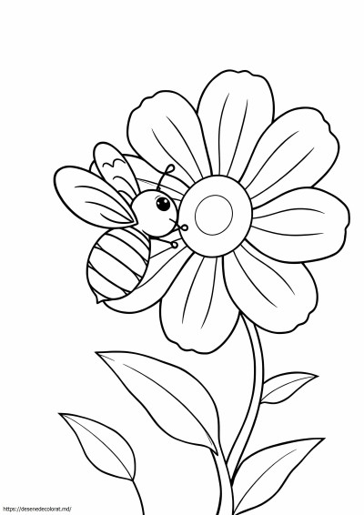 Floare de albină