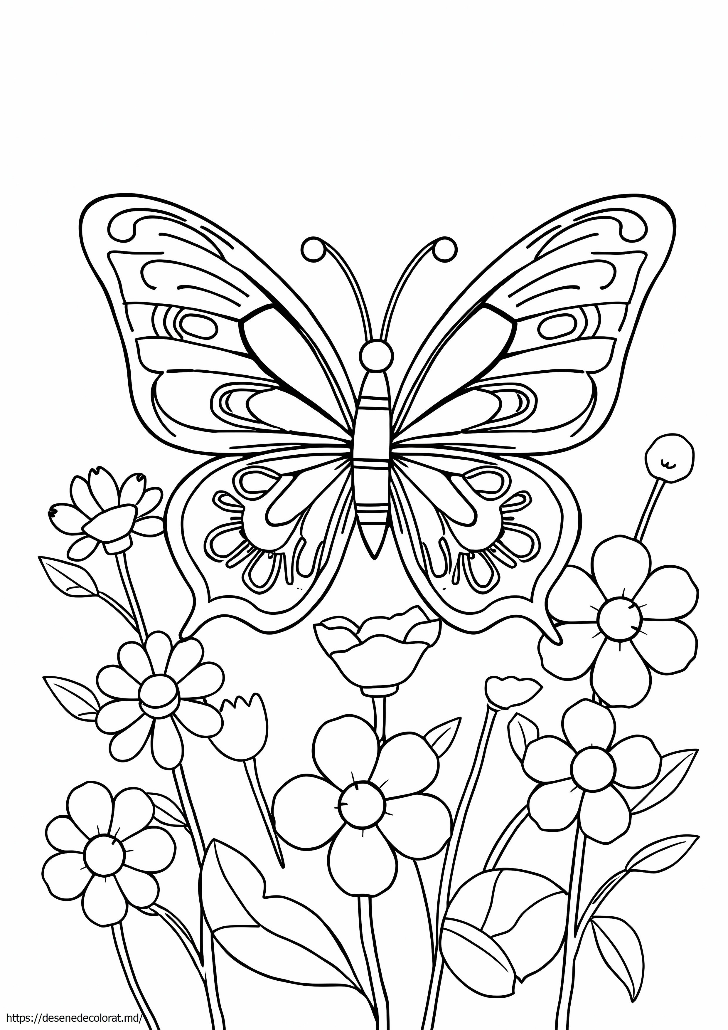 Fluture albastru