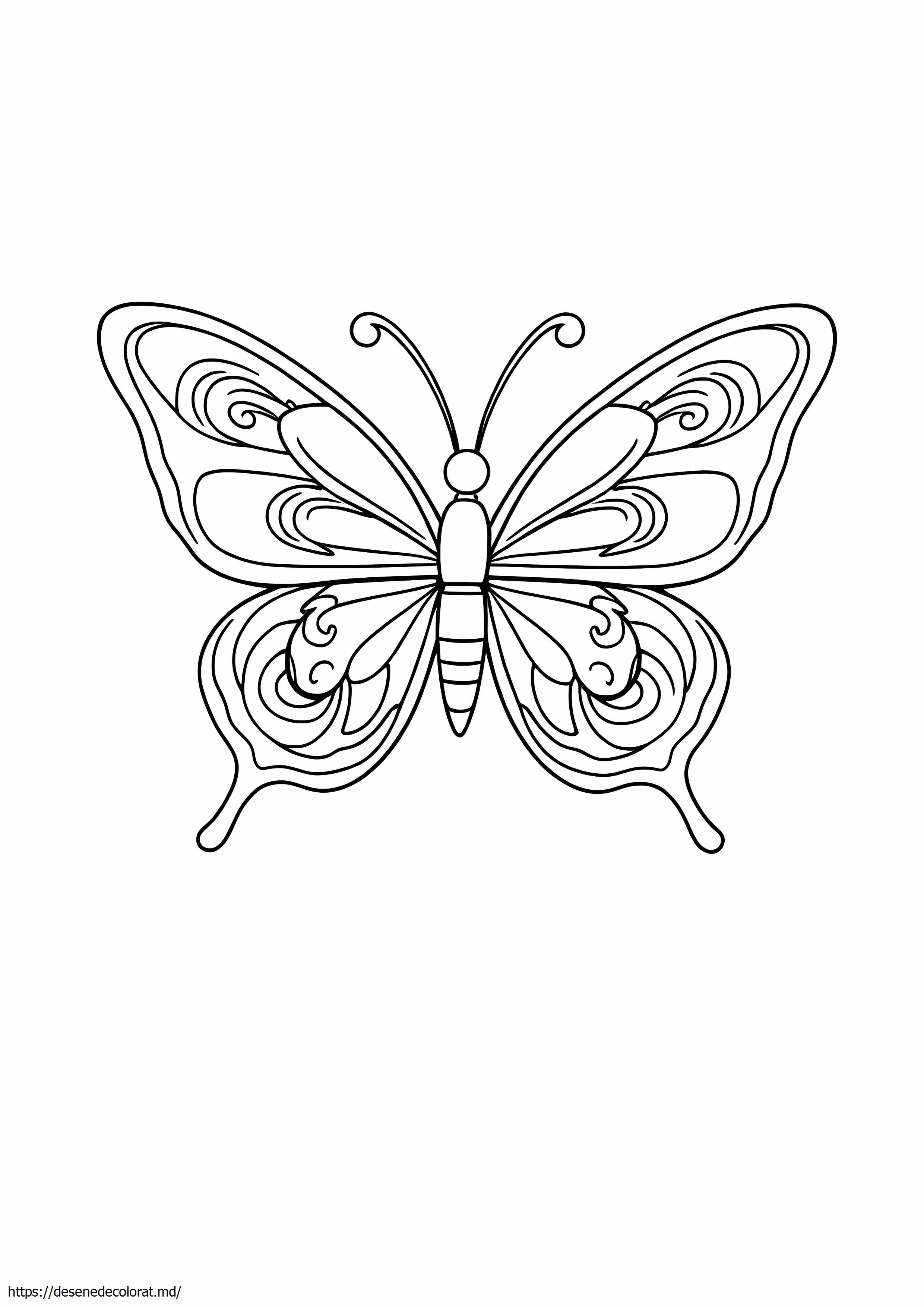 Fluture alb-negru
