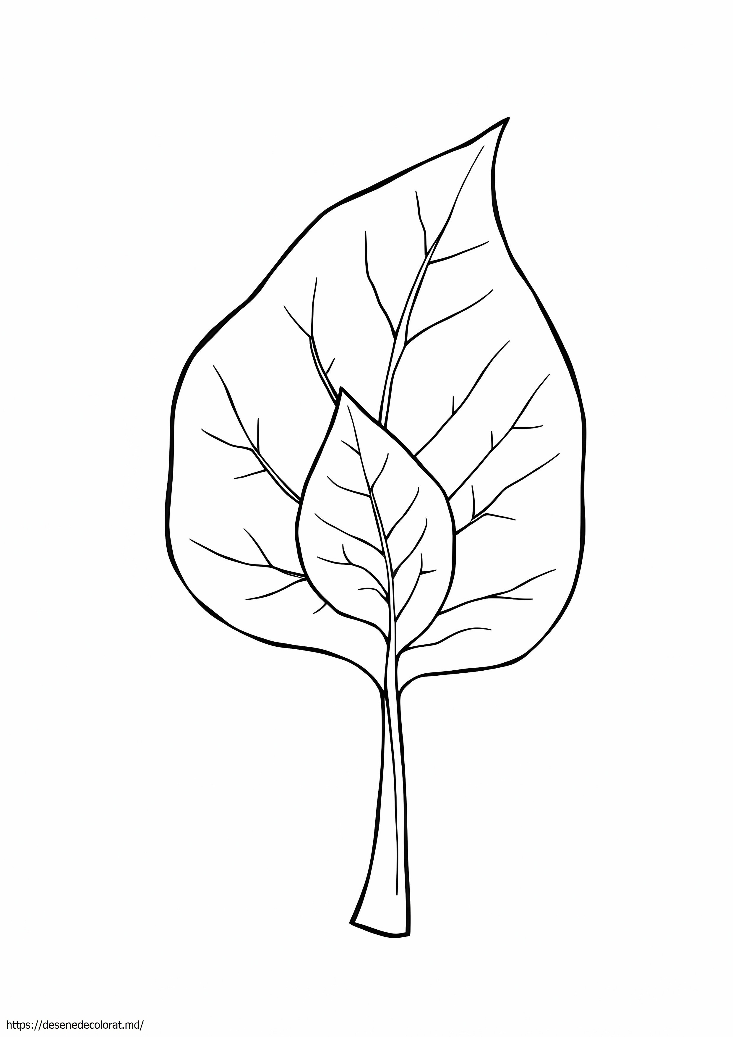 Botanică