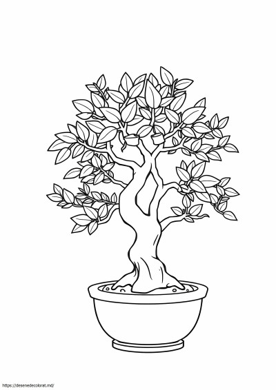 Arbore bonsai